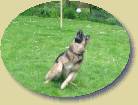 Lady schnappt den Ball * 448 x 335 * (61KB)